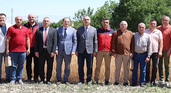 Tarla gününde ekmeklik buğday tanıtımı