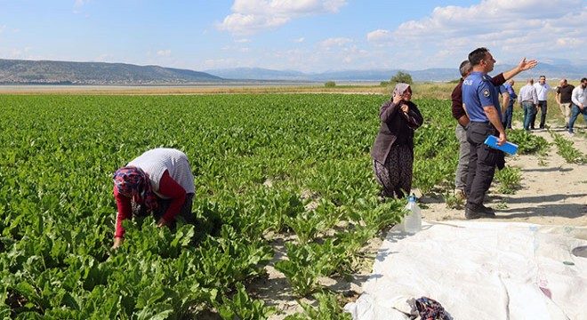 Tarlada çalışırken omzuna yorgun mermi isabet etti