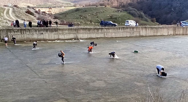 Taşan barajdan çuval ve kasayla balık yakaladılar