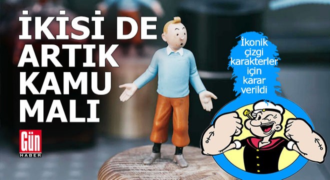 Temel Reis ve Tenten için 'Kamu malı' kararı