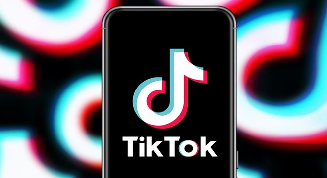 TikTok'a 1 yıl erişim engeli