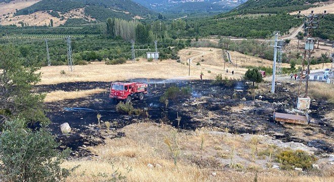 Trafoya çarpan kuş yangına neden oldu