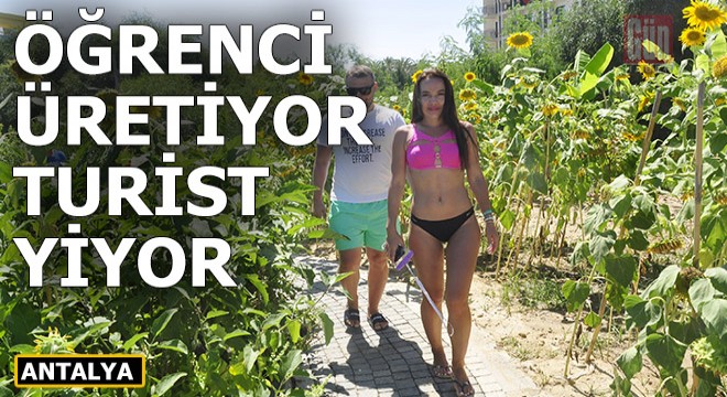 Turistler bu bahçeyi çok sevdi