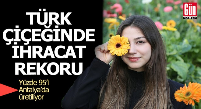 Türk çiçeğinde 160 milyon dolarlık ihracat rekoru