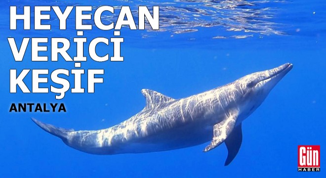 Türkiye'de heyecan verici keşif