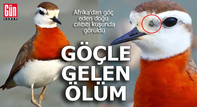 Türkiye'ye göçle gelen ölüm
