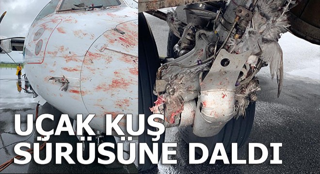 Uçak kuş sürüsüne daldı