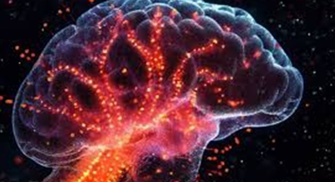 Uçuk virüsü Alzheimer'a neden olabilir