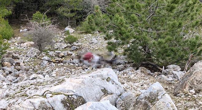 Uçurumda bulunan cesetle ilgili eşi ve oğlu dahil 9 gözaltı