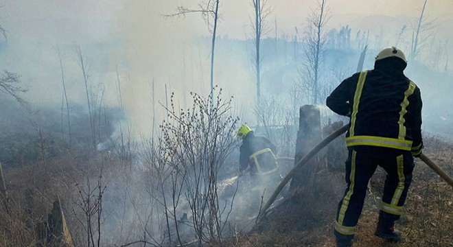 Ukrayna’da orman yangını: 5 kilometrelik alana yayıldı