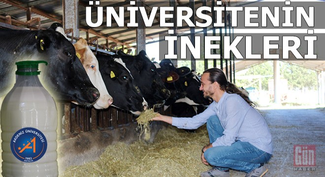 Üniversitenin 'Akademi Çiftlik' ürünleri yok satıyor