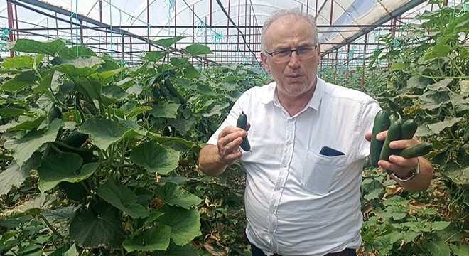 Üreticiler DMD'li Süleyman için seferber oldu