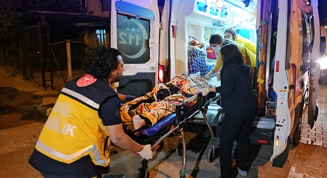 Uykudaki annesini ve anneannesini öldürdü