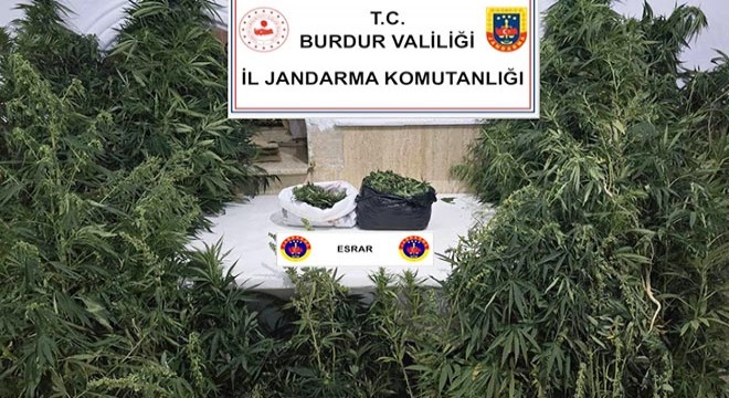 Uyuşturucu operasyonunda 1 tutuklama