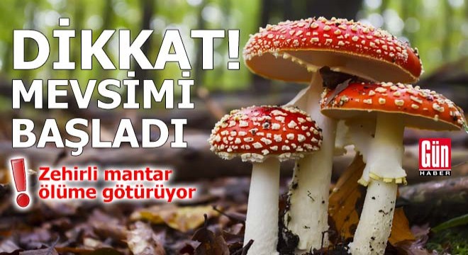 Vatandaşlara zehirli mantar uyarısı!