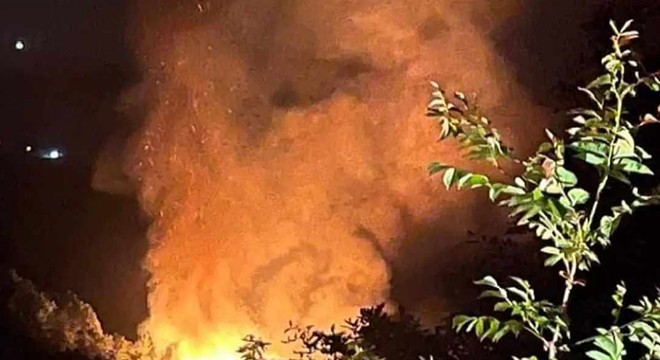 Yalova'da yangın; 2 gözaltı