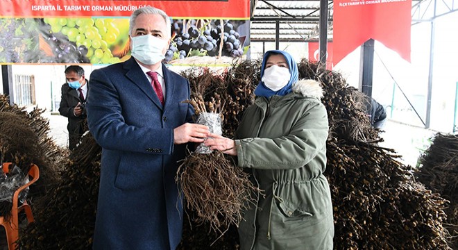 Yalvaç'ta 50 bin üzüm fidanı dağıtıldı