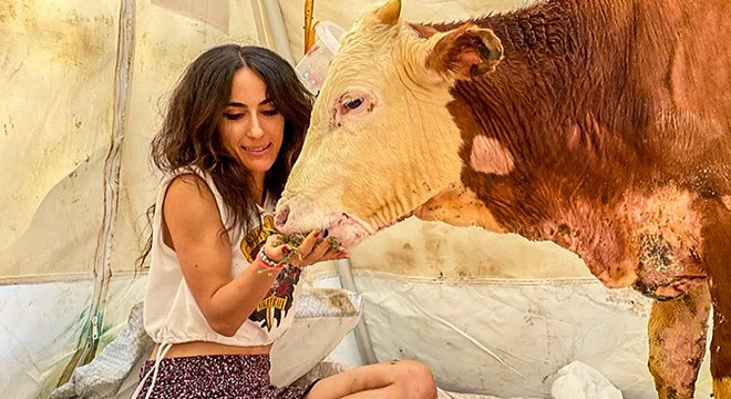 Yangında yaralanan hayvanlar, yeni yaşam alanlarında karşılandı