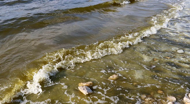Yeşil alg patlaması, Burdur Gölü'nün rengini değiştirdi
