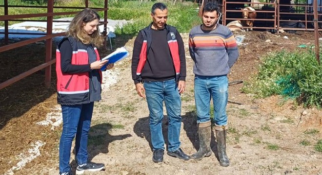 Yetiştiriciler buzağı ölümlerine karşı bilgilendirildi