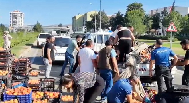 Yola saçılan şeftalileri birlikte topladılar