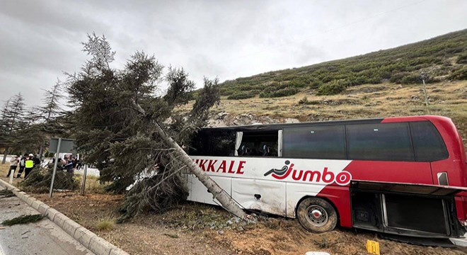 Yolcu otobüsü ağaca çarptı: 11 yaralı