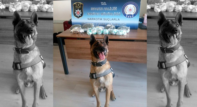Yolcunun valizlerinden uyuşturucu çıktı