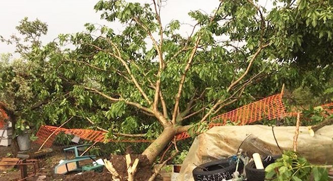 Yunanistan'da fırtına can aldı: 6 ölü