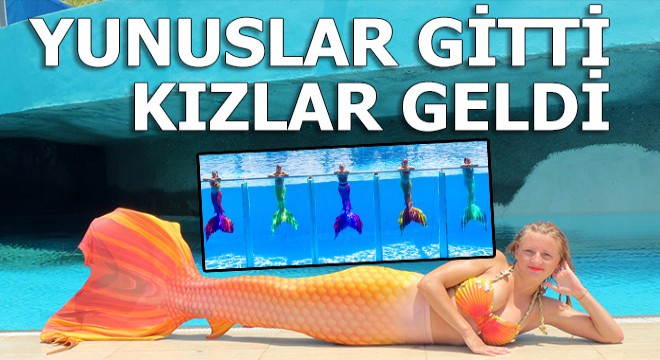 Yunus şovunun yerini deniz kızları aldı