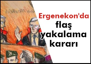 Ergenekon'da flaş yakalama kararı
