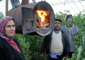 Antalya'da üreticinin 'don' nöbeti