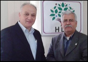 Profesör Mete, HDP'den aday adayı