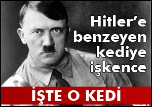 Hitler'e benziyor diye kediye işkence