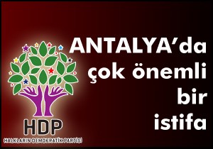 HDP İl Eşbaşkanı Kaya istifa etti