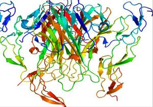 Kanser hücresini yok eden protein keşfedildi