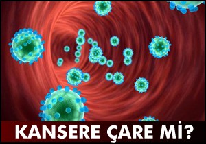 Kanseri öldüren protein