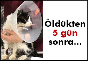 Öldükten beş gün sonra dirildi!