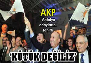 'Selde akıp giden kütük değil, çınar gibiyiz'