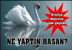 Kraliçe'nin kuğusunu yiyen kişi Türk çıktı!