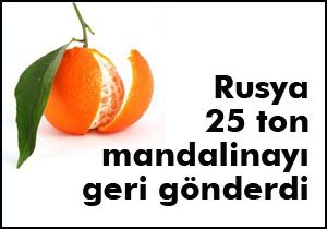 Rusya mandalinaları geri gönderdi