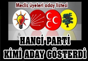 İşte partilerin meclis üye aday listesi