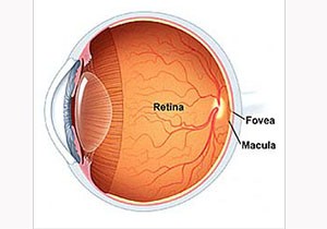 Türkiye'de ilk retina nakli