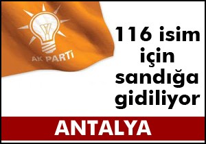 Ak Parti adaylarına temayül yoklaması