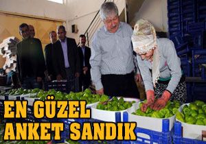 Akaydın; En güzel anket sandıktır