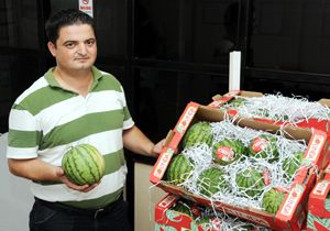 Solinda karpuzun ihracatı başladı