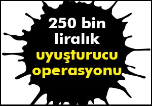Isparta polisinden 250 bin liralık uyuşturucu operasyonu